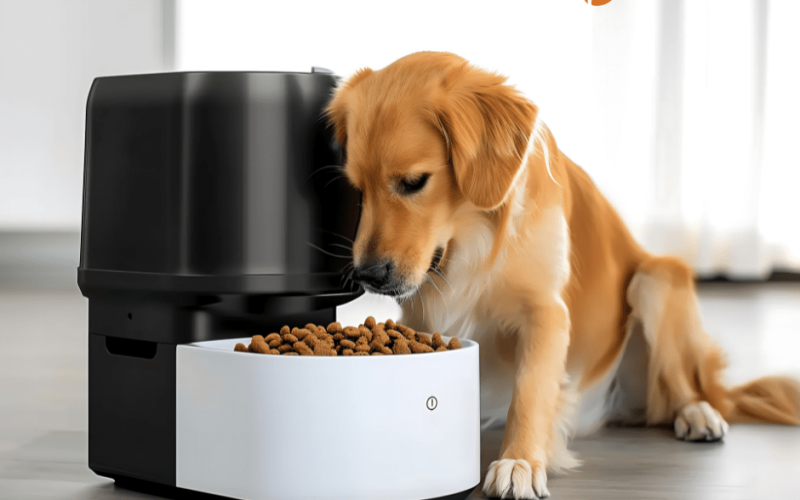 The Complete Guide to Dog Food Storage Containers.