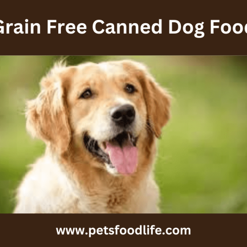 Grain Free Canned Dog Food – Keep Your Dog Healthy