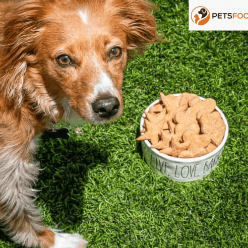 Peanut Butter Dog Food: The Ultimate Guide for Healthy Pets