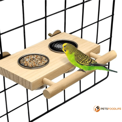 Top Pet Bird Food Suppliers: Where to Find the Best Quality