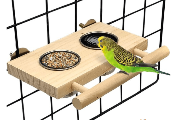 Top Pet Bird Food Suppliers: Where to Find the Best Quality