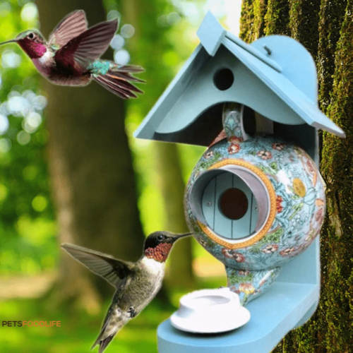 Expert Tips for Choosing the Best Pets at Home Bird Food