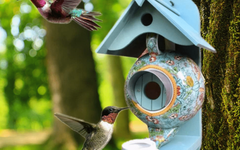 Expert Tips for Choosing the Best Pets at Home Bird Food