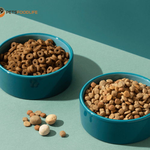 The Advantages of Providing Elevated Cat Food Bowls to Your Honey