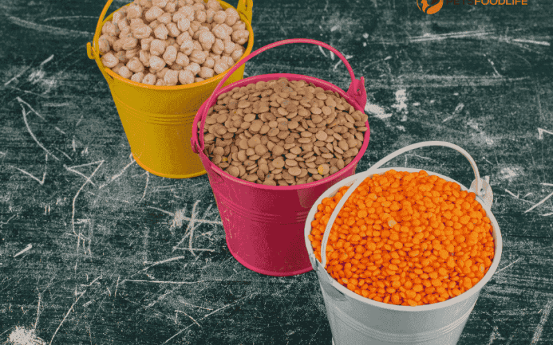 The advantages of small batch cat food