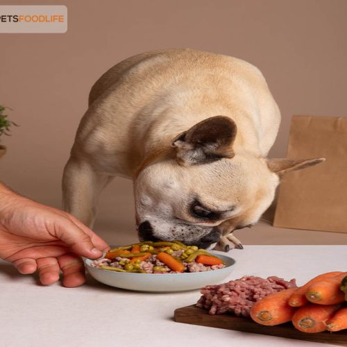 Superfood Complete Dog Food: A Nutrient-Rich Diet for Dogs