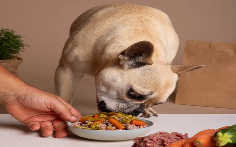 Superfood Complete Dog Food: A Nutrient-Rich Diet for Dogs