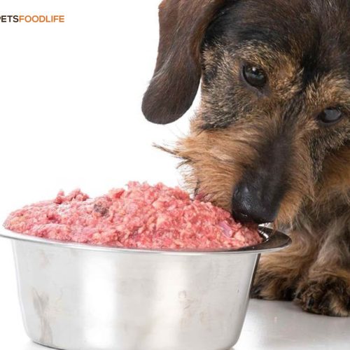 Texas Made Raw Dog Food: A Natural Option for Your Pet